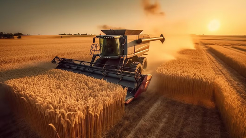 Combine harvester re