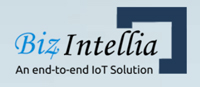 bizintelia