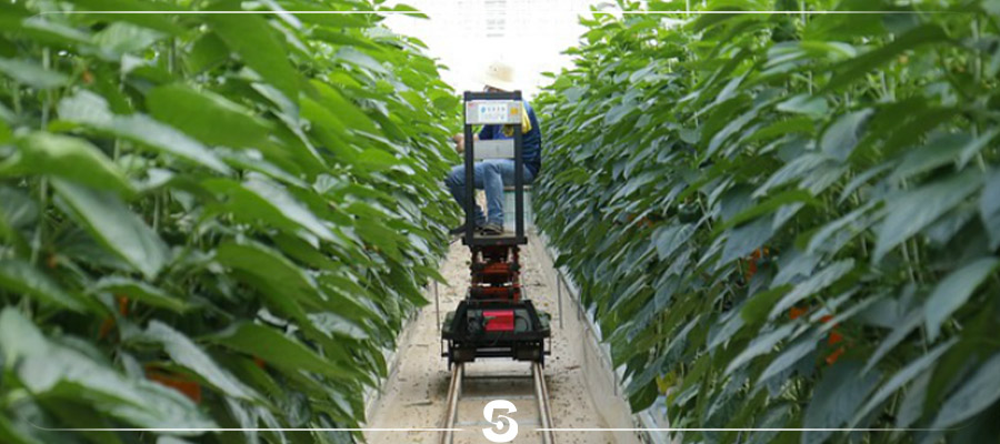 smart farming